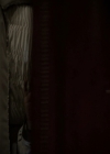 VampireDiariesWorld-dot-nl_TheOriginals-S3TheOriginalsAlwaysAndForever0285.jpg