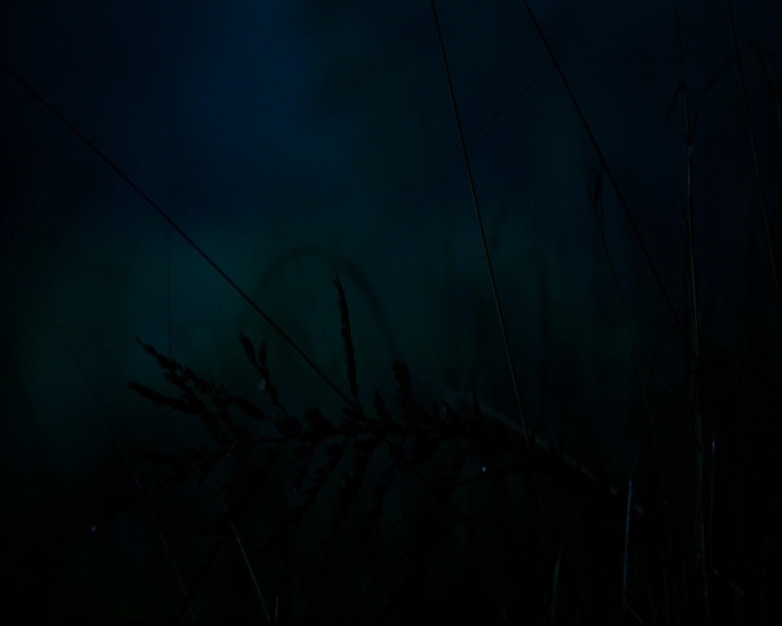 VampireDiariesWorld-dot-nl_TheOriginals_3x01ForTheMillemnium0001.jpg