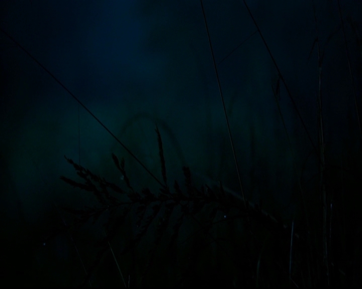 VampireDiariesWorld-dot-nl_TheOriginals_3x01ForTheMillemnium0002.jpg