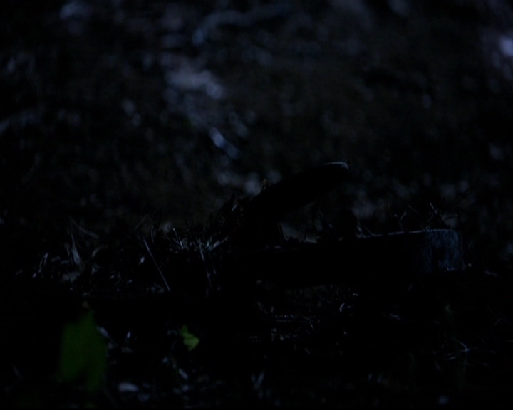 VampireDiariesWorld-dot-nl_TheOriginals_3x01ForTheMillemnium1590.jpg VampireDiariesWorld-dot-nl_TheOriginals_3x01ForTheMillemnium1590.jpg