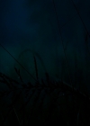 VampireDiariesWorld-dot-nl_TheOriginals_3x01ForTheMillemnium0001.jpg