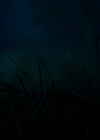 VampireDiariesWorld-dot-nl_TheOriginals_3x01ForTheMillemnium0002.jpg