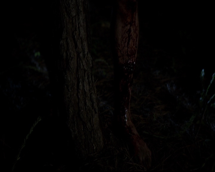 VampireDiariesWorld-dot-nl_TheOriginals_3x02YouHungTheMoon0040.jpg