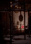 VampireDiariesWorld-dot-nl_TheOriginals_3x02YouHungTheMoon1034.jpg