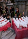 VampireDiariesWorld-dot-nl_TheOriginals_3x02YouHungTheMoon1778.jpg
