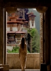 Filename=VampireDiariesWorld-dot-nl_TheOriginals_3x03IllSeeYouInHellOrNewOrleans2246.jpg
Filesize=232KiB
Dimensions=720x576
Date added=Nov 13, 2016 VampireDiariesWorld-dot-nl_TheOriginals_3x03IllSeeYouInHellOrNewOrleans2246.jpg