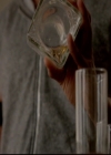 VampireDiariesWorld-dot-nl_TheOriginals_3x04AWalkOnTheWildSide0040.jpg