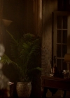 VampireDiariesWorld-dot-nl_TheOriginals_3x04AWalkOnTheWildSide0190.jpg
