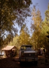 VampireDiariesWorld-dot-nl_TheOriginals_3x10AGhostAlongTheMississippi0371.jpg