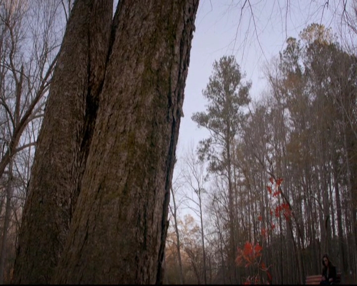 VampireDiariesWorld-dot-nl_TheOriginals_3x13HeartShapedBox0328.jpg VampireDiariesWorld-dot-nl_TheOriginals_3x13HeartShapedBox0328.jpg