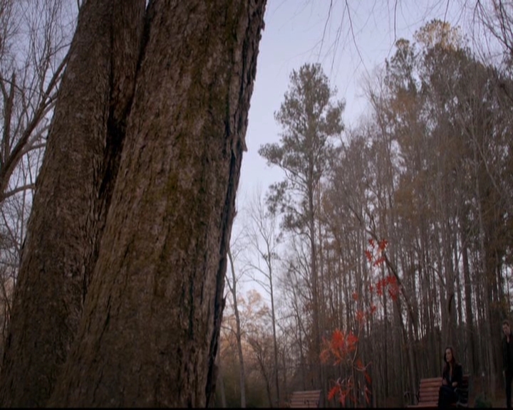 VampireDiariesWorld-dot-nl_TheOriginals_3x13HeartShapedBox0329.jpg VampireDiariesWorld-dot-nl_TheOriginals_3x13HeartShapedBox0329.jpg