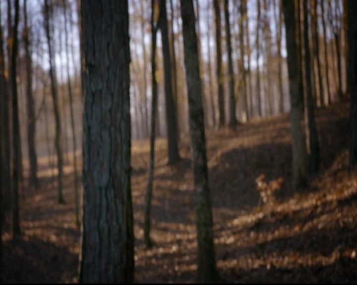 VampireDiariesWorld-dot-nl_TheOriginals_3x13HeartShapedBox0645.jpg VampireDiariesWorld-dot-nl_TheOriginals_3x13HeartShapedBox0645.jpg