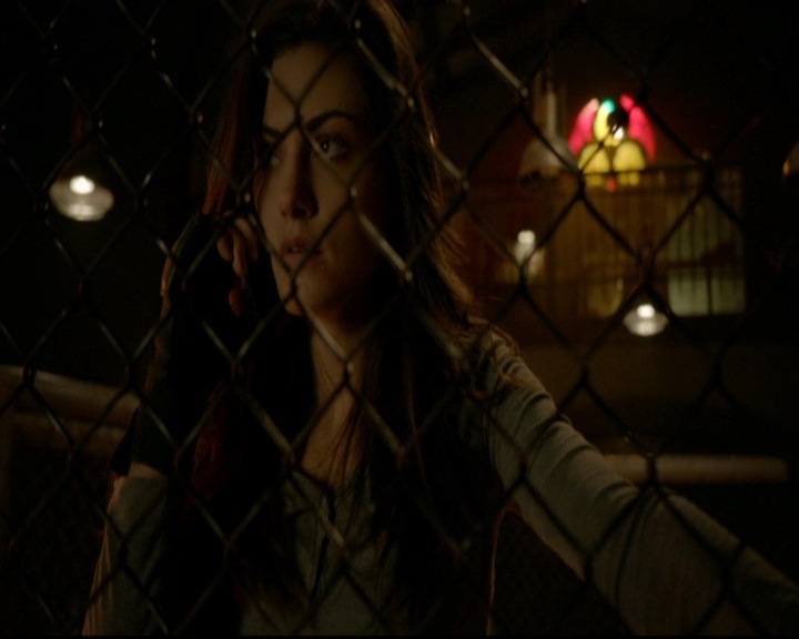 VampireDiariesWorld-dot-nl_TheOriginals_3x13HeartShapedBox1436.jpg VampireDiariesWorld-dot-nl_TheOriginals_3x13HeartShapedBox1436.jpg