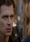 Filename=VampireDiariesWorld-dot-nl_TheOriginals_3x14AStreetcarNamedDesire2183.jpg
Filesize=174KiB
Dimensions=720x576
Date added=Nov 18, 2016 VampireDiariesWorld-dot-nl_TheOriginals_3x14AStreetcarNamedDesire2183.jpg