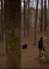 VampireDiariesWorld-dot-nl_TheOriginals_3x17BehindTheBlackHorizon0458.jpg