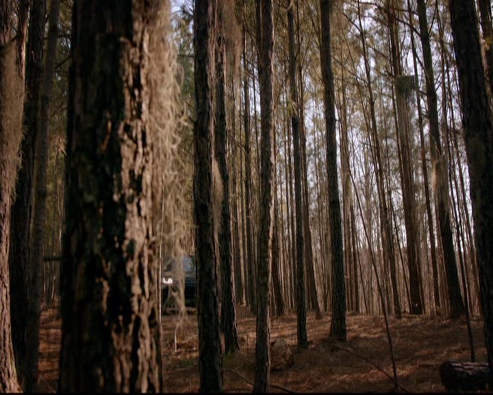 VampireDiariesWorld-dot-nl_TheOriginals_3x19NoMoreHeartbreaks0949.jpg VampireDiariesWorld-dot-nl_TheOriginals_3x19NoMoreHeartbreaks0949.jpg