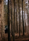 VampireDiariesWorld-dot-nl_TheOriginals_3x19NoMoreHeartbreaks0950.jpg
