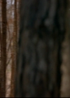 VampireDiariesWorld-dot-nl_TheOriginals_3x19NoMoreHeartbreaks0972.jpg