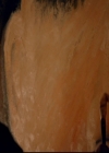 VampireDiariesWorld-dot-nl_TheOriginals_3x19NoMoreHeartbreaks1613.jpg