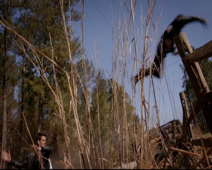 VampireDiariesWorld-dot-nl_TheOriginals_3x20WhereNothingStaysBuried1264.jpg VampireDiariesWorld-dot-nl_TheOriginals_3x20WhereNothingStaysBuried1264.jpg