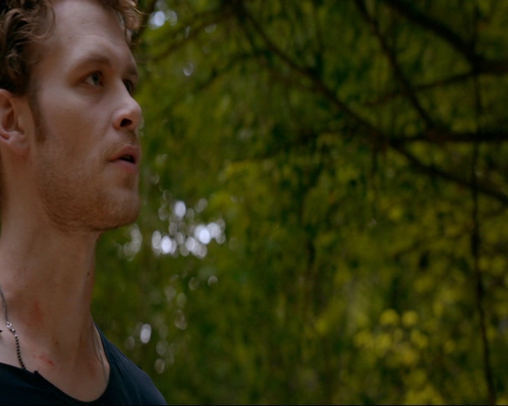 VampireDiaries-dot-nl_TheOriginals4x02NoQuarter1954.jpg VampireDiaries-dot-nl_TheOriginals4x02NoQuarter1954.jpg