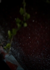 Filename=VampireDiaries-dot-nl_TheOriginals4x05IHearYouKnocking2315.jpg
Filesize=155KiB
Dimensions=720x576
Date added=May 18, 2018 VampireDiaries-dot-nl_TheOriginals4x05IHearYouKnocking2315.jpg