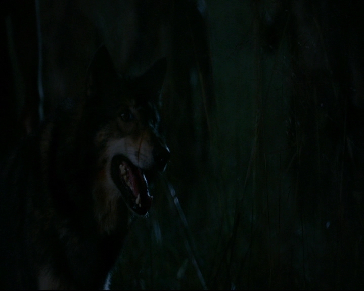 VampireDiaries-dot-nl_TheOriginals4x08VoodooInMyBlood0037.jpg VampireDiaries-dot-nl_TheOriginals4x08VoodooInMyBlood0037.jpg