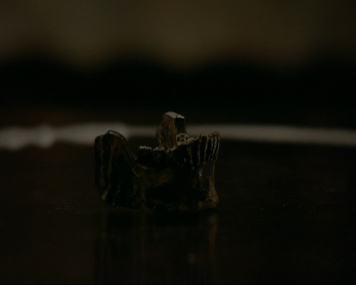 VampireDiaries-dot-nl_TheOriginals4x08VoodooInMyBlood0086.jpg VampireDiaries-dot-nl_TheOriginals4x08VoodooInMyBlood0086.jpg