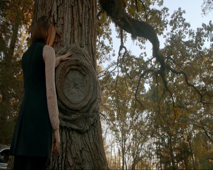 VampireDiaries-dot-nl_TheOriginals4x09QueenDeath0110.jpg VampireDiaries-dot-nl_TheOriginals4x09QueenDeath0110.jpg