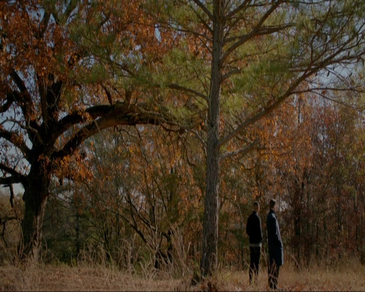 VampireDiariesWorld-dot-nl_TheOriginals4x13TheFeastOfAllSinners1674.jpg VampireDiariesWorld-dot-nl_TheOriginals4x13TheFeastOfAllSinners1674.jpg