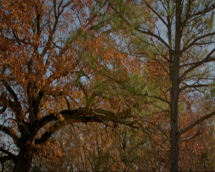 VampireDiariesWorld-dot-nl_TheOriginals4x13TheFeastOfAllSinners1818.jpg VampireDiariesWorld-dot-nl_TheOriginals4x13TheFeastOfAllSinners1818.jpg