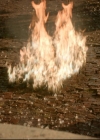 Filename=vampirediariesworld-dot-nl_TheOriginals5x06WhatWillIHaveLeft02283.jpg
Filesize=255KiB
Dimensions=720x576
Date added=Nov 20, 2019 vampirediariesworld-dot-nl_TheOriginals5x06WhatWillIHaveLeft02283.jpg