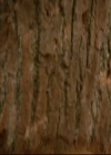 vampirediariesworld-dot-nl_TheOriginals5x07GodsGonnaTroubleTheWater01453.jpg