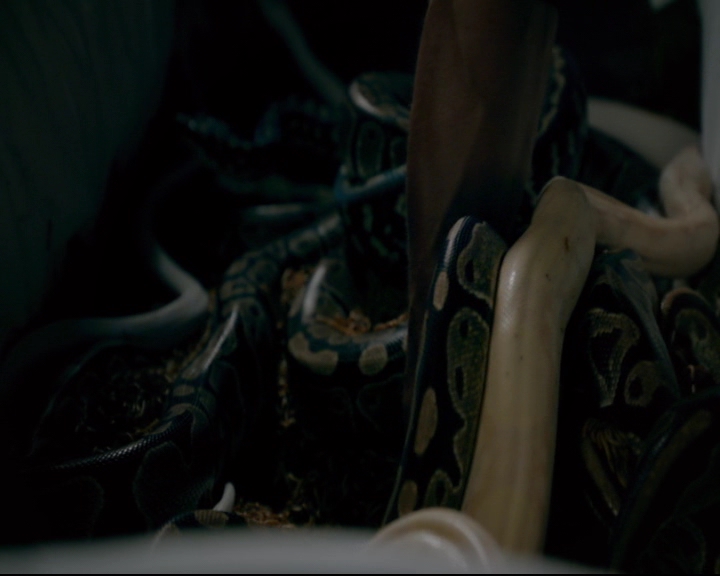 vampirediariesworld-dot-nl_TheOriginals5x08TheKindnessOfStrangers01565.jpg vampirediariesworld-dot-nl_TheOriginals5x08TheKindnessOfStrangers01565.jpg