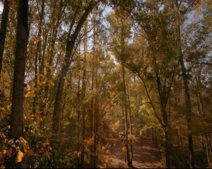 vampirediariesworld-dot-nl_TheOriginals5x10ThereInTheDisappearingLight02172.jpg