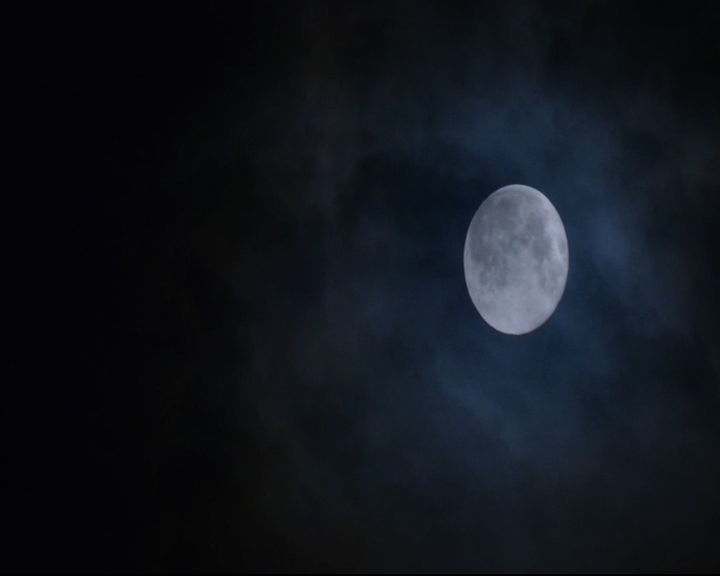 vampirediariesworld-dot-nl_TheOriginals5x12TheTaleOfTwoWolves02128.jpg
