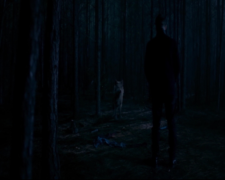 vampirediariesworld-dot-nl_TheOriginals5x12TheTaleOfTwoWolves02245.jpg