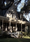 VampireDiariesWorld-dot-nl_6x02YellowLedbetter0168.jpg