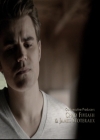 VampireDiariesWorld-dot-nl_6x02YellowLedbetter0203.jpg