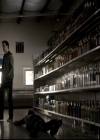 VampireDiariesWorld-dot-nl_6x03WelcomeToParadise1512.jpg