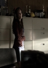 VampireDiariesWorld-dot-nl_6x06TheMoreYouIgnoreMeTheCloserIGet0640.jpg