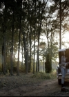Filename=VampireDiariesWorld-dot-nl_6x08FadeIntoYou0167.jpg
Filesize=292KiB
Dimensions=720x576
Date added=Oct 31, 2015 VampireDiariesWorld-dot-nl_6x08FadeIntoYou0167.jpg