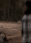 VampireDiariesWorld-dot-nl_6x08FadeIntoYou2274.jpg