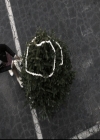 VampireDiariesWorld-dot-nl_6x10ChristmasThroughYourEyes0461.jpg