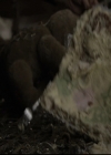 VampireDiariesWorld-dot-nl_6x13TheDayITriedTLive1905.jpg