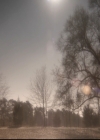 VampireDiariesWorld-dot-nl_6x14Stay2173.jpg