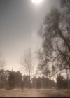 VampireDiariesWorld-dot-nl_6x14Stay2222.jpg
