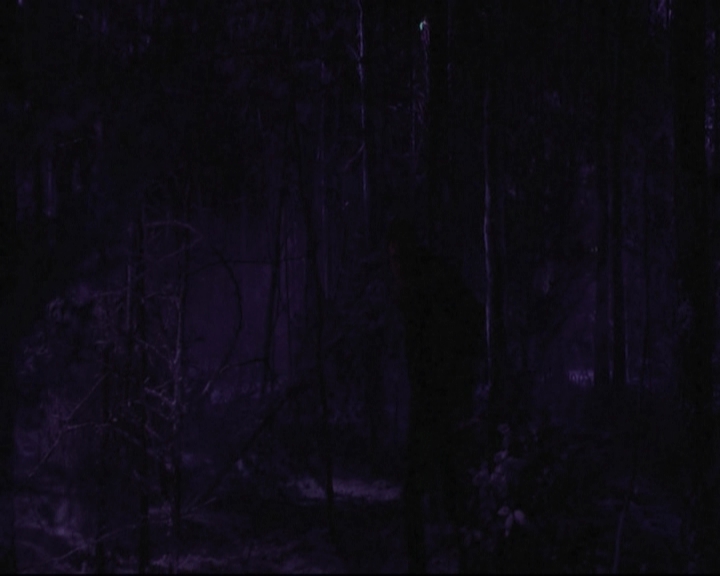 VampireDiariesWorld-dot-nl_6x17ABirdInAGildedCage-deletedscenes0045.jpg