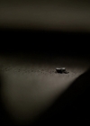 VampireDiariesWorld-dot-nl_6x18INeverCouldLoveLikeThat2245.jpg