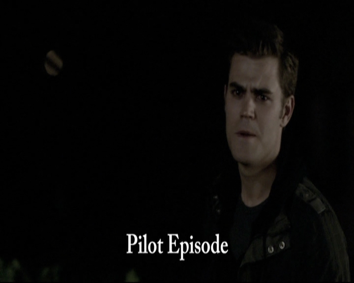 VampireDiariesWorld-dot-nl_S6TheVampireDiaires2014Comic-ConPanel0643.jpg